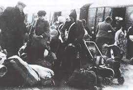 Op funda vind je momenteel 9 huizen te koop in westerbork, westerbork. Kz Zuge Auf Der Heidebahn Das Ende In Soltau