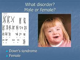 Notes: Chromosomes and Chromosome Disorders. Characteristics Chromosomes  are long, threadlike groups of genes made up of DNA; found in the nucleus.  Chromosomes.