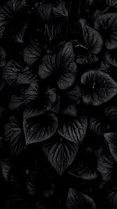 Maybe you would like to learn more about one of these? Black Flowers Wallpaper Wallpaper Sun