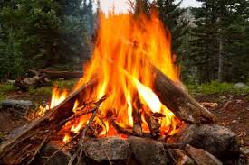 1 x perfect beaver pelt. Scout Leader Lawrence Marshall S App Scout Campfire Songs Set To Bring Campfire Classics To The World