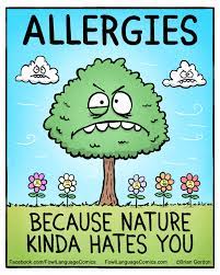 Fowl Language By Brian Gordon June 13 2016 Via Gocomics Allergies Funny Fowl Language Comics Funny Love