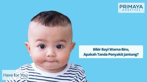 Inilah daftar yang bisa anda simak supaya bisa menanganinya dari awal. Bibir Bayi Warna Biru Apakah Tanda Penyakit Jantung Primaya Hospital