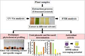 Check spelling or type a new query. Phytochemical Screening And Determination Of Phenolics And Flavonoids In Dillenia Pentagyna Using Uv Vis And Ftir Spectroscopy Sciencedirect