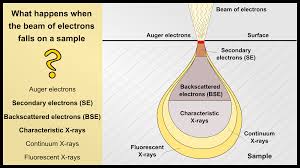 Sem stands for search engine marketing. What Does Bse Stand For Backscattered Electron Materials Science Engineering
