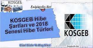 Yararli Bilgiler Panosundaki Pin