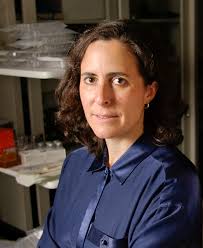 From volcanoes to cancer cures, stimulus funds support a wide range of  research at Stanford