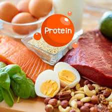 Image result for Protein
