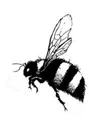 Drawings Daily Jess Bee Tattoo Honey Bee Drawing Bee Sketch Honey Bee Sketch