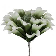 At hill interiors, we have a stunning range of artificial single stem flowers which allow you to create a long lasting display and arrangement. Fofl015 Pack Of 5 Green Foam Single Stem Cabbage Rose Flower