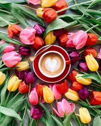 Fleur Aesthetic In 2020 Friday Coffee Instagram But First Coffee