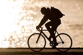 Fahrradfahren lernen mit stützrädern ist eher kontraproduktiv, denn #3 wann darf mein kind auf der straße fahren? Fahrradfahren Kann So Schon Sein Aber Auch Fur Radfahrer Gibt Es Einige Regeln Im Strassenverkehr Stuttgarter Zeitung
