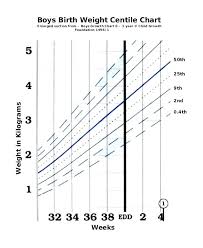 baby weight chart when born babyzone pregnancy chart average