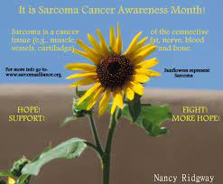 Here are some points to consider as you start to learn more: 39 Angiosarcoma Ideas Cancer Sarcoma Sarcoma Awareness