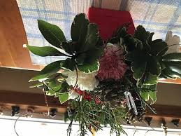 Maybe you would like to learn more about one of these? Avasflowers Net Reviews 298 Reviews Of Avasflowers Net Sitejabber