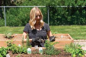 They are highly resistant to heat and moisture while their materials are strong and durable. Start A Simple Kitchen Garden Now San Diego Home Garden Lifestyles