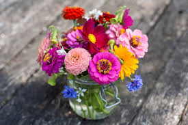 We did not find results for: The Cut Flower Growing Year Bbc Gardeners World Magazine