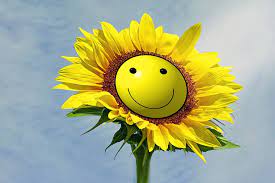 Download these smiling flowers background or photos and you can use them for many purposes, such as banner, wallpaper, poster background as well as powerpoint background and website background. Hd Wallpaper Yellow Sunflower Sun Flower Smilie Smile Joy Environment Wallpaper Flare
