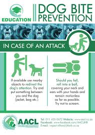 Recommended rabies vaccine schedule for your dog. Rabies And Dog Bite Prevention Aacl