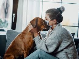 Примеры заданий для экзамена pet sample papers (preliminary english test) или pet for schools sample papers можно найти ниже current papers (version 2020): Caring For Your Pet In A Lockdown Go Easy On The Treats Teach Them New Tricks For Physical Activity The Economic Times