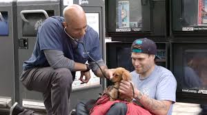 Newport beach is known for its beaches, sunsets, and gardens. Meet The Veterinarian Walking Around The Streets Of California And Treating Homeless Peoples Animals For Free
