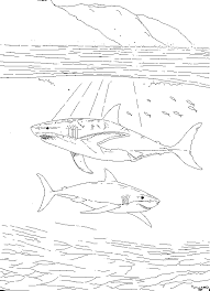 Joaca cele mai noi jocuri gratis pe ijocurigratis.com! Desene De Colorat Rechinii In Ocean Planse De Colorat Cu Rechin Kleurplaten Zeedieren Haai