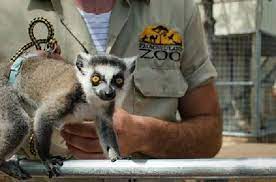 Branson Zoo Branson Zoo Branson Branson Missouri