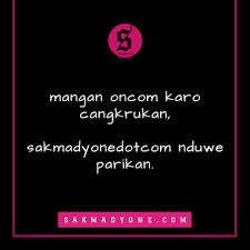 Pantun dengan tema pendidikan salah satu tujuannya adalah memotivasi para pelajar untuk lebih giat belajar. Parikan Jawa Lucu Bikin Ngakak Di Sertai Dengan Gambar Lucu Sekolah Menengah Pendidikan