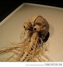 This Is So Cool Human Brain Anatomy Human Brain Brain Anatomy