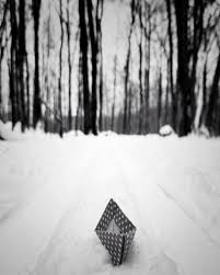 Simple is Beautiful Photography