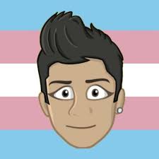 aaood zayn malik pride icons heehee pls credit me if you use any of these  uwu flags: lesbian gay bisexual transgender...