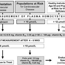 Crea buenos nombres para juegos, perfiles, marcas o redes sociales. Pdf Ber Den Rationellen Klinischen Umgang Mit Homocystein Fols Ure Und B Vitaminen Bei Kardiovaskul Ren Und Thrombotischen Erkrankungen