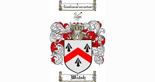 Celtic/irish/scotland/welsh harp symbol meaning and origin 9. The Top 10 Most Common Irish Family Crests And What Their Mottos Mean The Irish Post