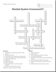 Anatomy skeletal system crossword, bone anatomy crossword, bone structure crossword, hip bone parts crossword clue, muscle and bone anatomy. L I F T A N A T O M Y C R O S S W O R D A N S W E R S Zonealarm Results
