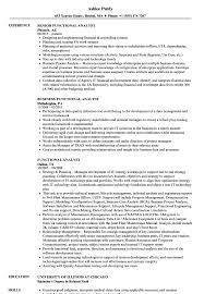 Free download funcional resume sample for microsoft word. Functional Analyst Resume Samples Velvet Jobs
