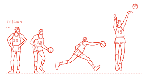 Shaq is bigger than wilt tho. Wilt Chamberlain Dimensions Drawings Dimensions Com