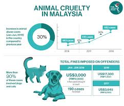 Keeping exotic pets, which are often incorrectly considered to be 'wild animals,' has become very controversial. Animal Cruelty On The Rise In Malaysia The Asean Post