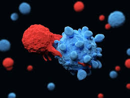 Scientists don't understand the exact causes of leukemia. Together Two Genetic Mutations Make Blood Cancer More Aggressive Docwire News