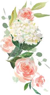 Grab your spring floral watercolor freebies! Free Elegant Watercolor Flowers Twitter Background Free Watercolor Flower Vector Transparent Background Full Size Png Download Seekpng