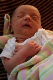 And then came babies!: May 2006