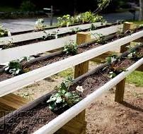Gardening FAIL: Growing Strawberry Plants in Rain Gutters |