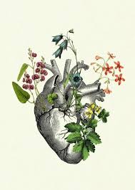 Free heart and rose drawings in pencil download free clip. Flowers Growing On An Anatomical Heart A Beautiful Gift For A Loved On Or Friend Victorian Steampunk Collage Of Vintage Victorian E Art Heart Art Anatomy Art