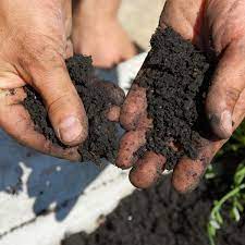 I use activated charcoal in some of my soaps as a detoxifying agent. How To Use Compost Planet Natural
