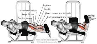Lying Leg Curl Exercise Instructions And Video Weight Training Guide Lying Leg Curls Leg Curl Leg Workout