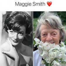 Un día como hoy, 25 de diciembre de 1991, Harry Potter recibió una de sus  mayores herencias: la Capa de Invisibilidad de su padre. Esa misma noche,  durante una de sus primeras