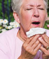 Now available at Olson Rentals!