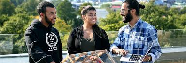 Image result for Grona afra