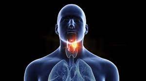 The survival rate for throat cancer in stage 1 is 5 years. Persistent Sore Throat Can Be Cancer Sign Bbc News