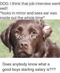 28 hilarious dog memes to get you through life. Dog I Think That Job Interview Went Well Looks In Mirror And Sees Ear Was Inside Out The Whole Time Son Of A Does Anybody Know What A Good Boys Starting Salary