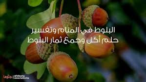 تفسير رويا قطف ثمر الوز الهندي. Ø§Ù„Ø¨Ù„ÙˆØ· ÙÙŠ Ø§Ù„Ù…Ù†Ø§Ù… ÙˆØªÙØ³ÙŠØ± Ø­Ù„Ù… Ø£ÙƒÙ„ ÙˆØ¬Ù…Ø¹ Ø«Ù…Ø§Ø± Ø§Ù„Ø¨Ù„ÙˆØ·