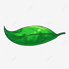 Gambar daun kartun clipart best. Gambar Daun Kartun Daun Hijau Daun Hijau Daun Hijau Kartun Daun Daun Hijau Daun Musim Bunga Png Dan Psd Untuk Muat Turun Percuma Ilustrasi Daun Ilustrasi Daun